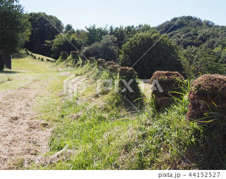 史跡・猪俣百八燈(埼玉県児玉郡美里町猪俣) 史跡・猪俣百八燈(埼玉県児玉郡美里町猪俣) 44152527