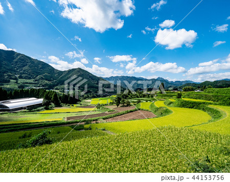 宮崎県、高千穂の広大な田園と青空 44153756