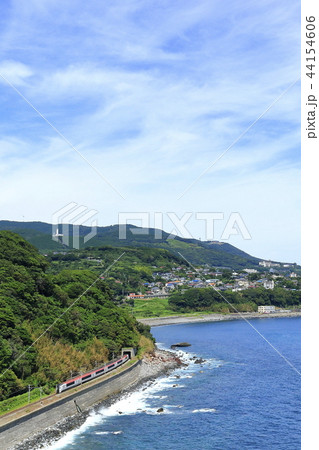 マリンエクスプレス踊り子号 マリンエクスプレス踊り子号 44154606