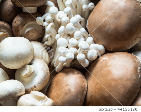 Various raw mushroom types   44155130