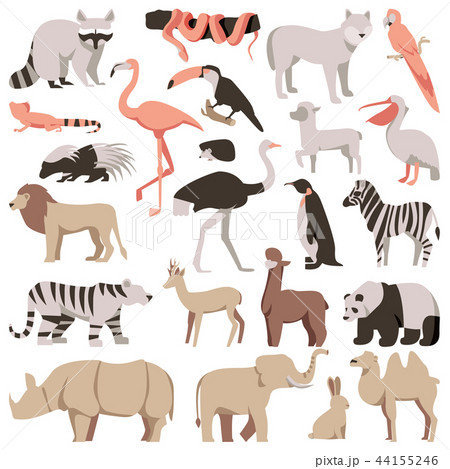 Zoo flat animals set. Tropical and exotic wild 44155246