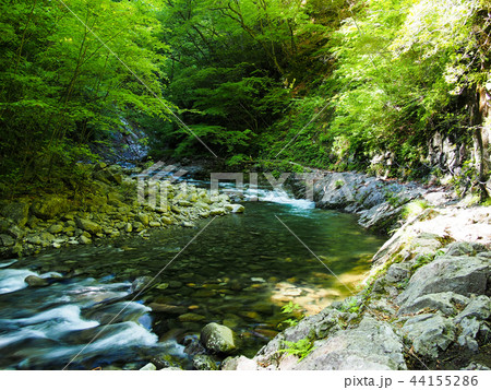 西沢渓谷 西沢渓谷 44155286