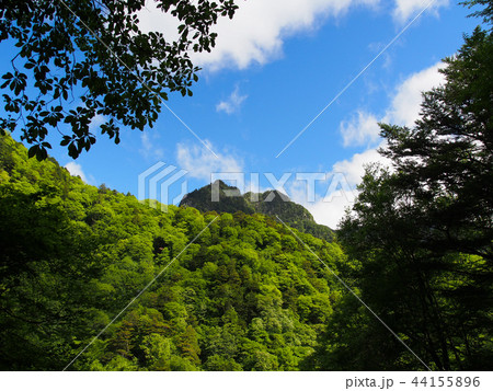鶏冠山 鶏冠山 44155896