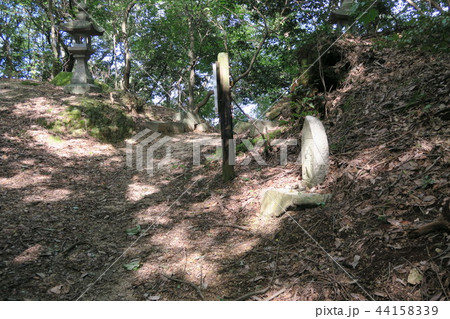 【四国八十八カ所】遍路道　仙遊寺から伊予国分寺へ向かう木漏れ日の五郎兵衛坂　愛媛県今治市 44158339