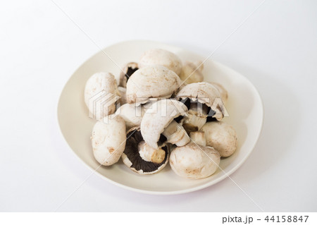 マッシュルーム マッシュルーム 44158847