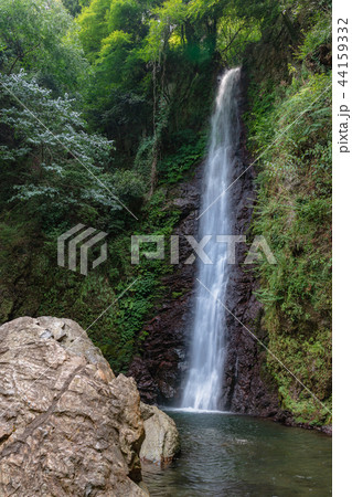 養老の滝 44159332