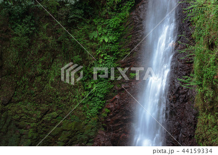 養老の滝 44159334