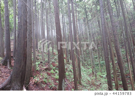 戸倉三山 44159783