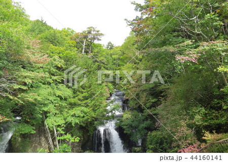 那須日光の旅 44160141