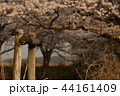 支柱　夕暮れ 44161409