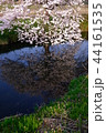 水面に映る桜 44161535