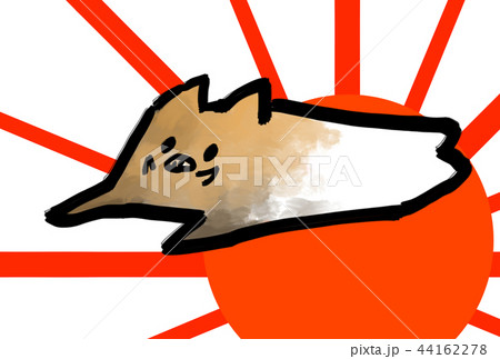 初日の出/おひさま 亥/猪/いのしし 初日の出/おひさま 亥/猪/いのしし 44162278