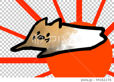 初日の出/おひさま 亥/猪/いのしし 初日の出/おひさま 亥/猪/いのしし 44162278