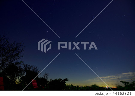 <星空> 南知多 桜公園 <星空> 南知多 桜公園 44162321