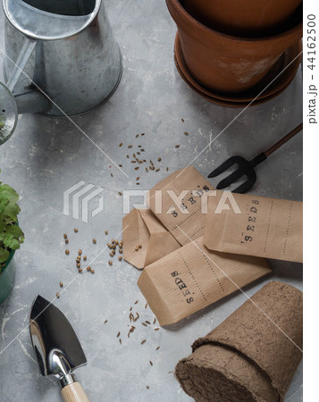 Various seeds of herbs and garden tools and pots  44162500