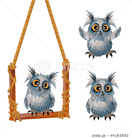 Cute fluffy grey owl sits on a swinging perch isolated on white background. Sketch for a poster or 44163692