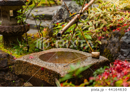 日本京都の紅葉と庭園 日本京都の紅葉と庭園 44164630