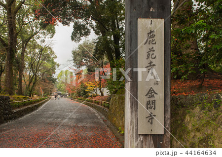 日本京都の紅葉と庭園 日本京都の紅葉と庭園 44164634