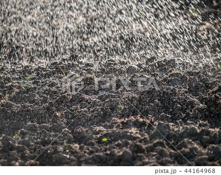 Spraying water over cultivated land Spraying water over cultivated land 44164968
