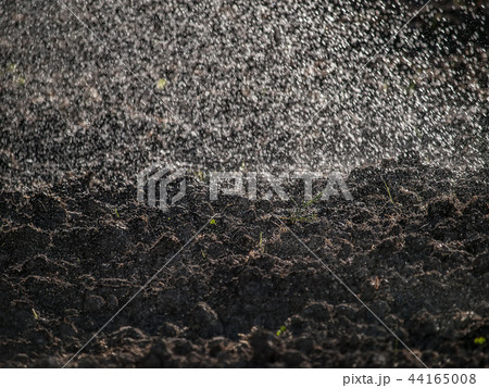 Spraying water over cultivated land Spraying water over cultivated land 44165008