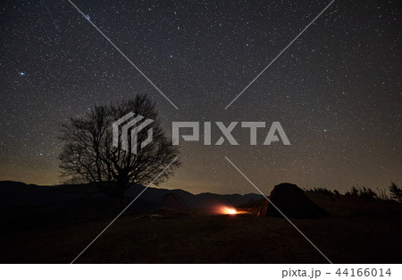 Night camping in the mountains. Hikers having a rest in tourist tent under starry sky near campfire 44166014