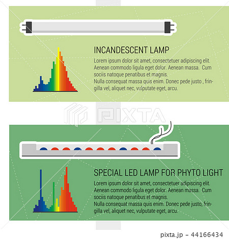 Features led and fluorescent lamps Features led and fluorescent lamps 44166434
