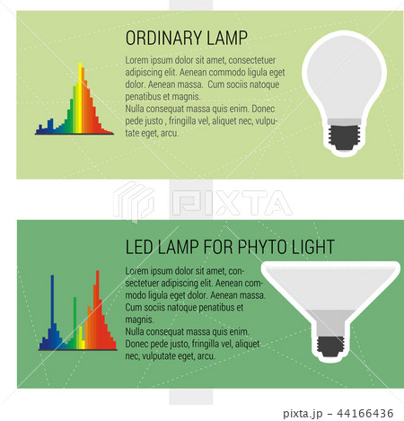 Features led and ordynary lamps 44166436
