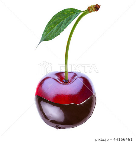 cherry cherry 44166461