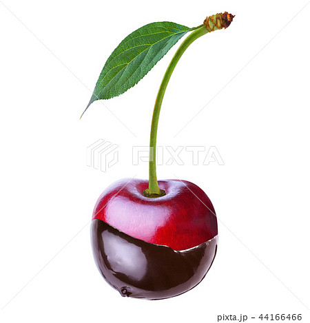 cherry cherry 44166466