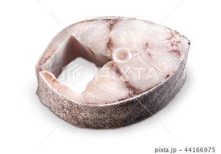 cobia steak 44166975