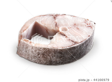 cobia steak 44166979