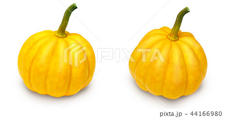 Two mini pumpkins Two mini pumpkins 44166980