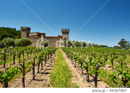 Vineyards with castle in California Vineyards with castle in California 44167067