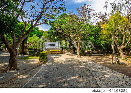 ひめゆりの塔 44168025