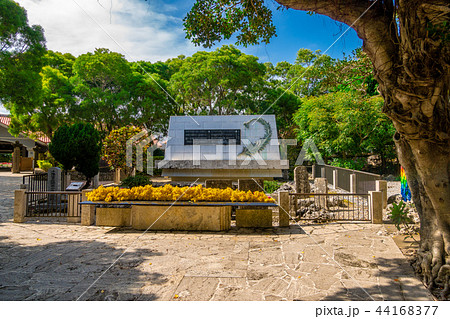 ひめゆりの塔 44168377