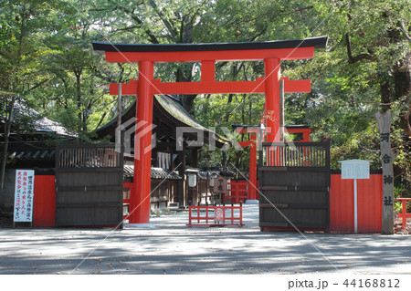 京都 河合神社 鳥居 京都 河合神社 鳥居 44168812