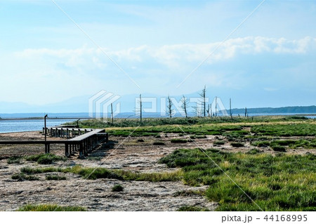野付半島　トドワラ　”別海町” 44168995