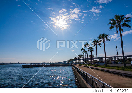 （静岡県）浜名湖　新居海釣公園 44169036