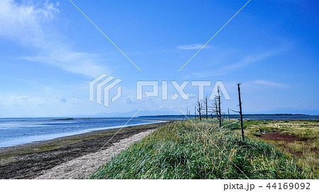 野付半島　トドワラ　16：9　”別海町” 44169092