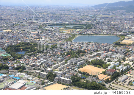 伊丹 伊丹 44169558