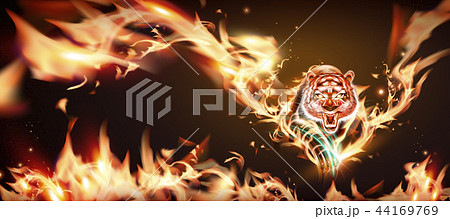 Tiger With Burning Flameのイラスト素材