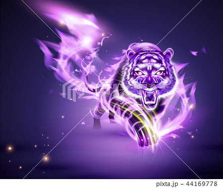 Tiger With Purple Burning Flameのイラスト素材