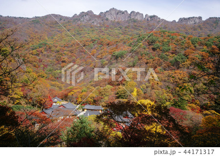 全北 韓国 屋外 44171317