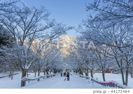 来蘇寺 冬 雪景色 44172464