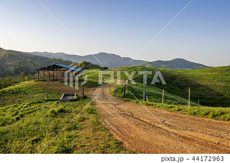 韓国 牧場 西山牧場 44172963