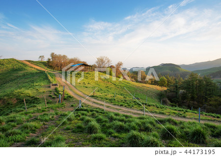 西山牧場 草地 丘 44173195