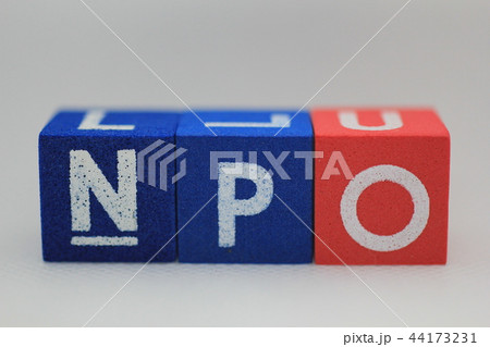 NPO 44173231