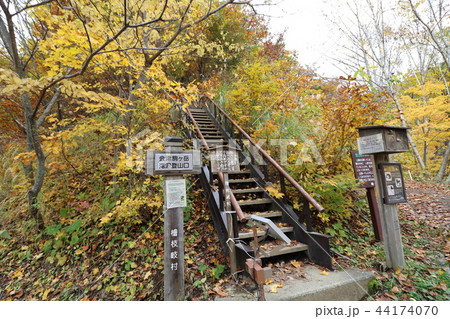 秋の会津駒ヶ岳の滝沢登山口 44174070