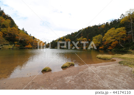 日光白根山の五色沼 日光白根山の五色沼 44174110