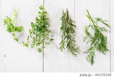 Various kind of fresh herbs Various kind of fresh herbs 44174149